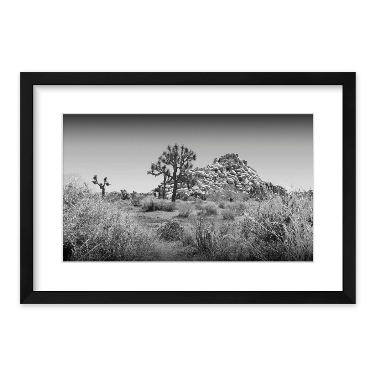Quail Springs, Joshua Tree Framed Print — view 1