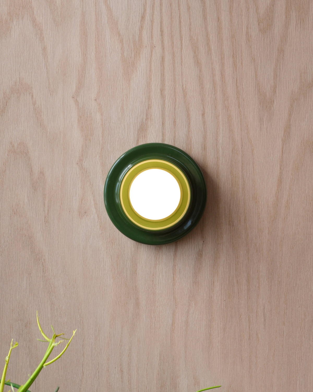 Q Sconce in Green on a wood wall