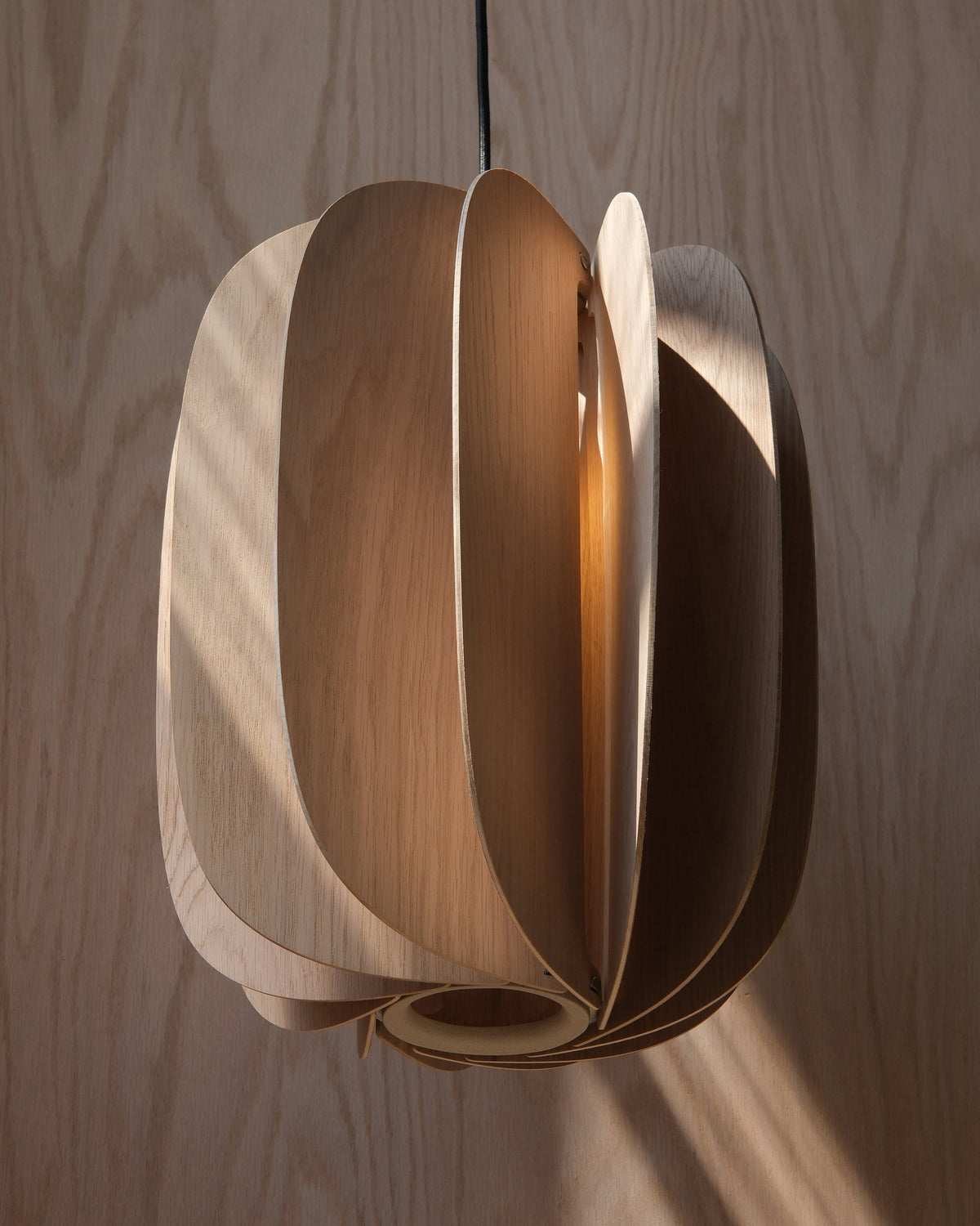 Fin III Pendant, close up, lit