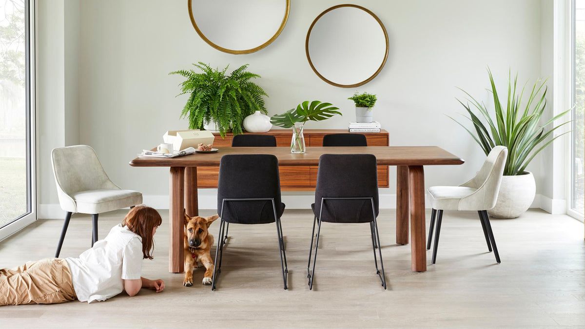 Malibu dining table in solid walnut in a bright dining room, surrounded by black and cream chairs, with two round brass mirrors and ferns behind and a child and a dog on the floor beneath it